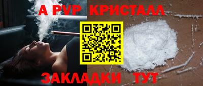 СК Гатчина