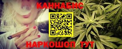 СК Гатчина