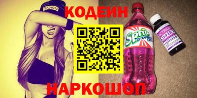 СК Гатчина