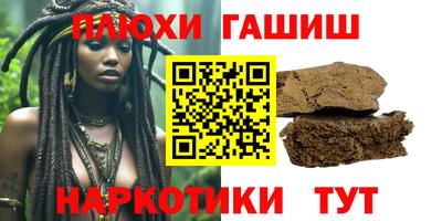 СК Гатчина