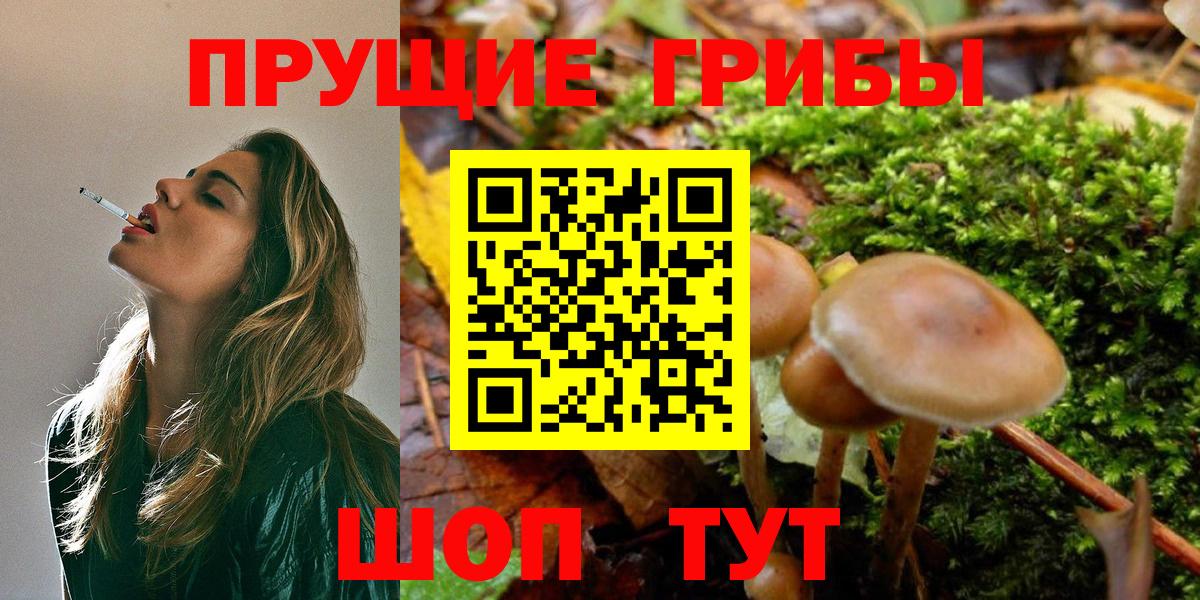 Галлюциногенные грибы мицелий  Вход с VPN  купить  цена  Нижнеудинск 