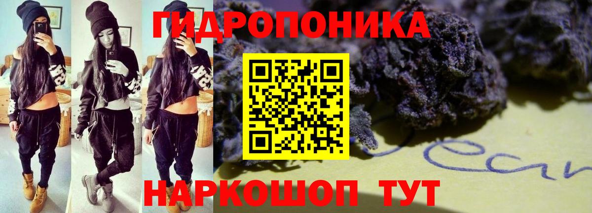 Шишки марихуана семена Нижнеудинск